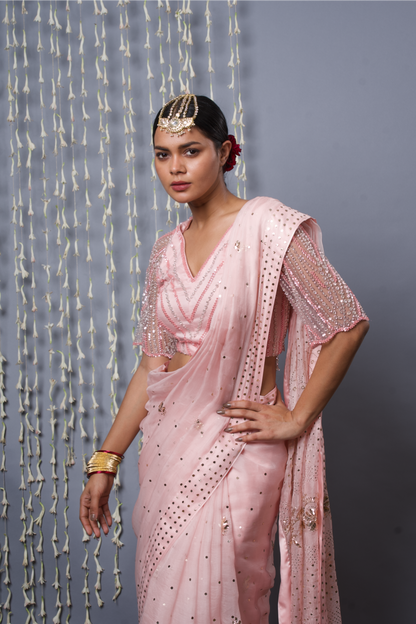 Pure Silk Organza Saree